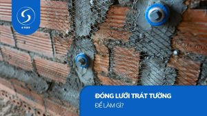 dong luoi trat tuong